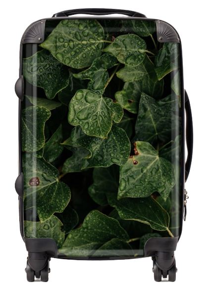 Medium Luggage